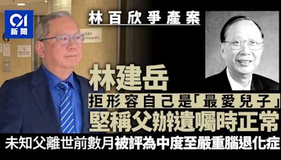 林百欣爭產案 林建岳拒形容是其父最愛兒子 堅稱父辦遺囑時正常