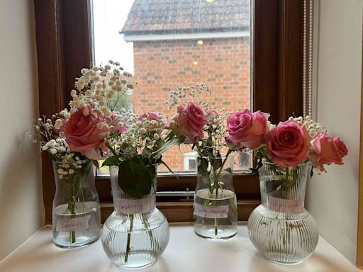 I Tried 4 Viral Methods to Keep Flowers Fresh, and the Winner Surprised Me