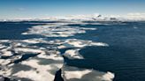'2023 just blew everything off the charts': Antarctic sea ice hits troubling low for third consecutive year