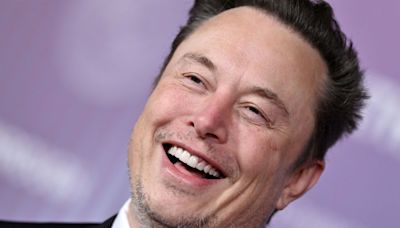 Elon Musk's piggy bank