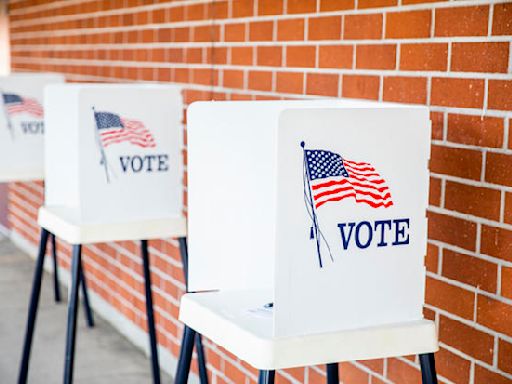 Texas primary runoff elections: What to know before you vote