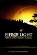 Fierce Light: When Spirit Meets Action