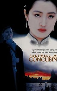 Farewell My Concubine (film)