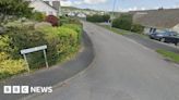 St Austell woman in her 90s attacked by dog, say police