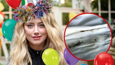 Amber Heard Celebrates 38th Birthday on 8-Year Poop Anniversary with Johnny