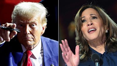 Trump-Harris face-off: Do presidential debates change voter preferences?