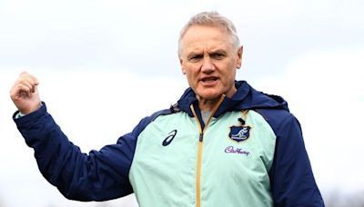 All Blacks still consider Wallabies dangerous because of the Joe Schmidt factor – even after record defeat to Pumas