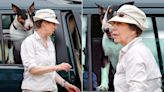 Princess Anne's unruly dogs who almost got her arrested: All the times her terriers caused chaos