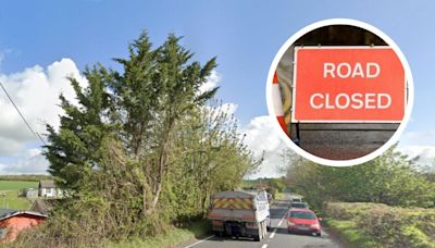 Main Dorset road closed for resurfacing