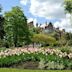 Chelsea Physic Garden