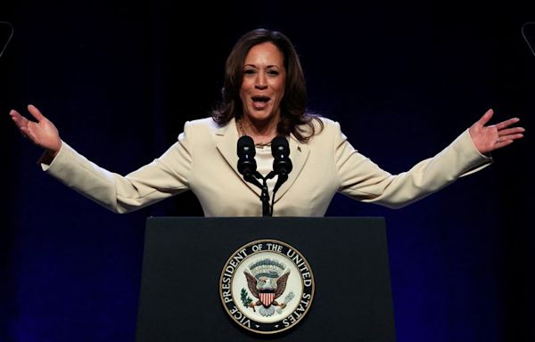 VP Harris top choice to replace Biden in election race if he steps aside, sources say