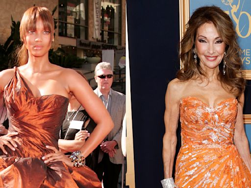 ...Dressed Stars in Daytime Emmys History: Oprah Went Sheer, Susan Lucci Sparkled, Tyra Banks Pumped Up the Volume and More...