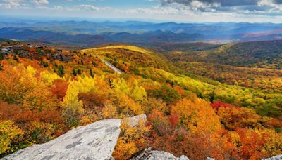 Calling autumn lovers: Here's when to expect peak color in North Carolina