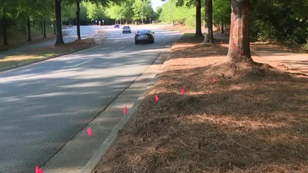 Driver arrested for crash that killed 2 UGA students, 1 Alpharetta HS student