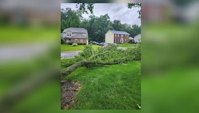 Damage reported as severe weather moves through Miami Valley