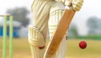 England's Cricket Club Bans Players From Hitting Sixes. Know Why - News18