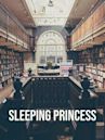 Sleeping Princess (film)