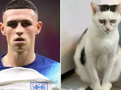 Cat identical to Phil Foden's face when benched becomes England good luck charm