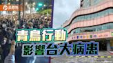 立院青鳥行動放電音播三字經 台大病患家屬發文遭出征 | 蕃新聞