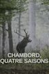 Chambord, quatre saisons