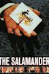 Kennwort: Salamander