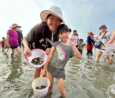 2024臺南七股海鮮節7月初開跑 最熱門的挖文蛤體驗首採收費