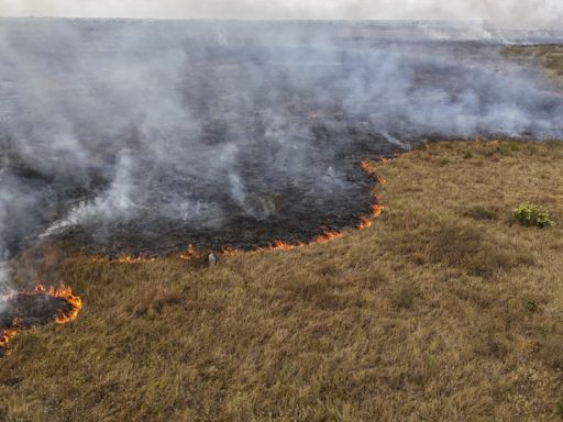 El Pantanal puede tener su peor crisis hídrica de la historia en 2024, según un estudio