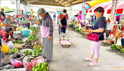 災損二成 大內酪梨節助果農行銷