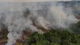 Explainer-Causes and consequences of Amazon fires and deforestation