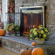 Fireplace screens