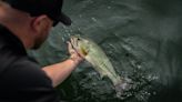 Black bass making headlines in New York with official opener nearing - Outdoor News