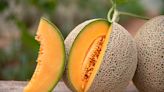 Here's what to know about the deadly cantaloupe salmonella outbreak