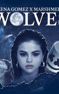 Wolves (Selena Gomez and Marshmello song)