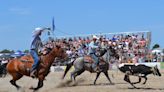 Massive crowds as Kingsville farm resurrects local professional rodeo