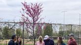 Memorial area dedicated at Waukegan’s Bowen Park; ‘This is a place where people can create their own memories’