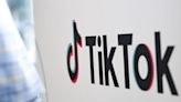 Top Wall Street analysts compare TikTok to crack cocaine, saying growing domination of short-form video may 'ruin' the internet