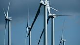 Rich, white communities most likely to oppose wind farms, study finds