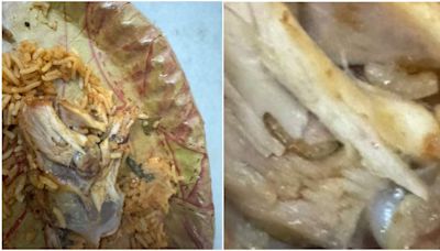 Hyderabad man finds maggot in chicken biryani worth Rs 318. Swiggy offers Rs 64 refund