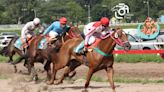 Humor and Glory pone a prueba su velocidad en la prueba central del turf