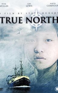 True North