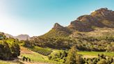 Why do Brits love South African wines so much?