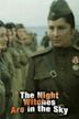 The Night Witches Are in the Sky