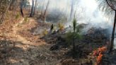 Pendiente de combate, incendio en la zona boscosa Velo de Novia