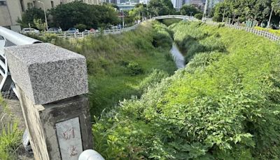 北市府河濱公園修繕費竟挪去舉辦水舞！王欣儀：拿市民安全開玩笑