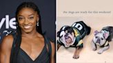 Simone Biles Posts Adorable Snapshot of Dogs in Husband Jonathan Owens' Team Jerseys