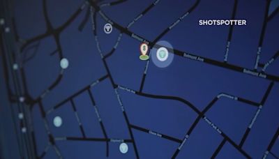 Houston Mayor John Whitmire says city's 'ShotSpotter' gunshot detection tool is a 'gimmick'