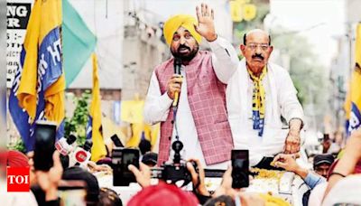 Punjab CM Bhagwant Mann Challenges BJP Candidate Sheetal Angural | Chandigarh News - Times of India