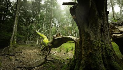 El impresionante paraje natural de San Sebastián que se encuentra en Navarra: un pequeño pueblo y rutas de senderismo