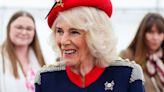 Camilla sending 'hidden message' with subtle choice of feathers in hat