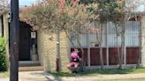 Louisiana abortion clinics resume services after judge temporarily blocks ban